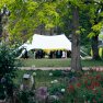 EDGE Venue News